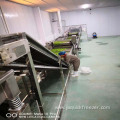 Industrial IQF Daylily Fluidized Bed Quick Freezer